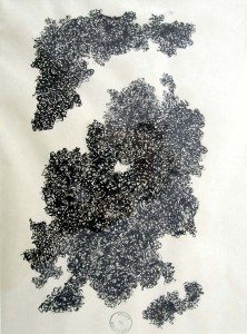 Theo-Wolvecamp-0435-nt 5 Wolvecamp