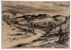 Colnot