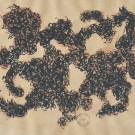 Theo Wolvecamp 0307 nt