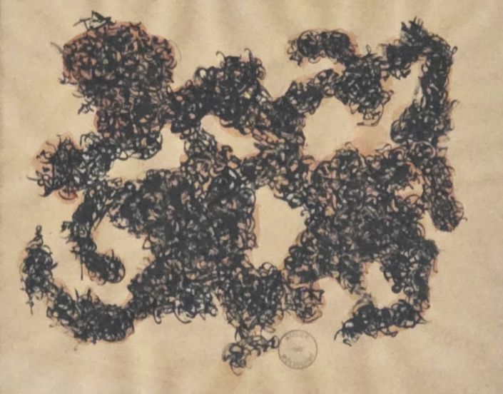 Theo Wolvecamp 0307 nt