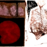 Rossem: Abstracte kunst met vis en patronen