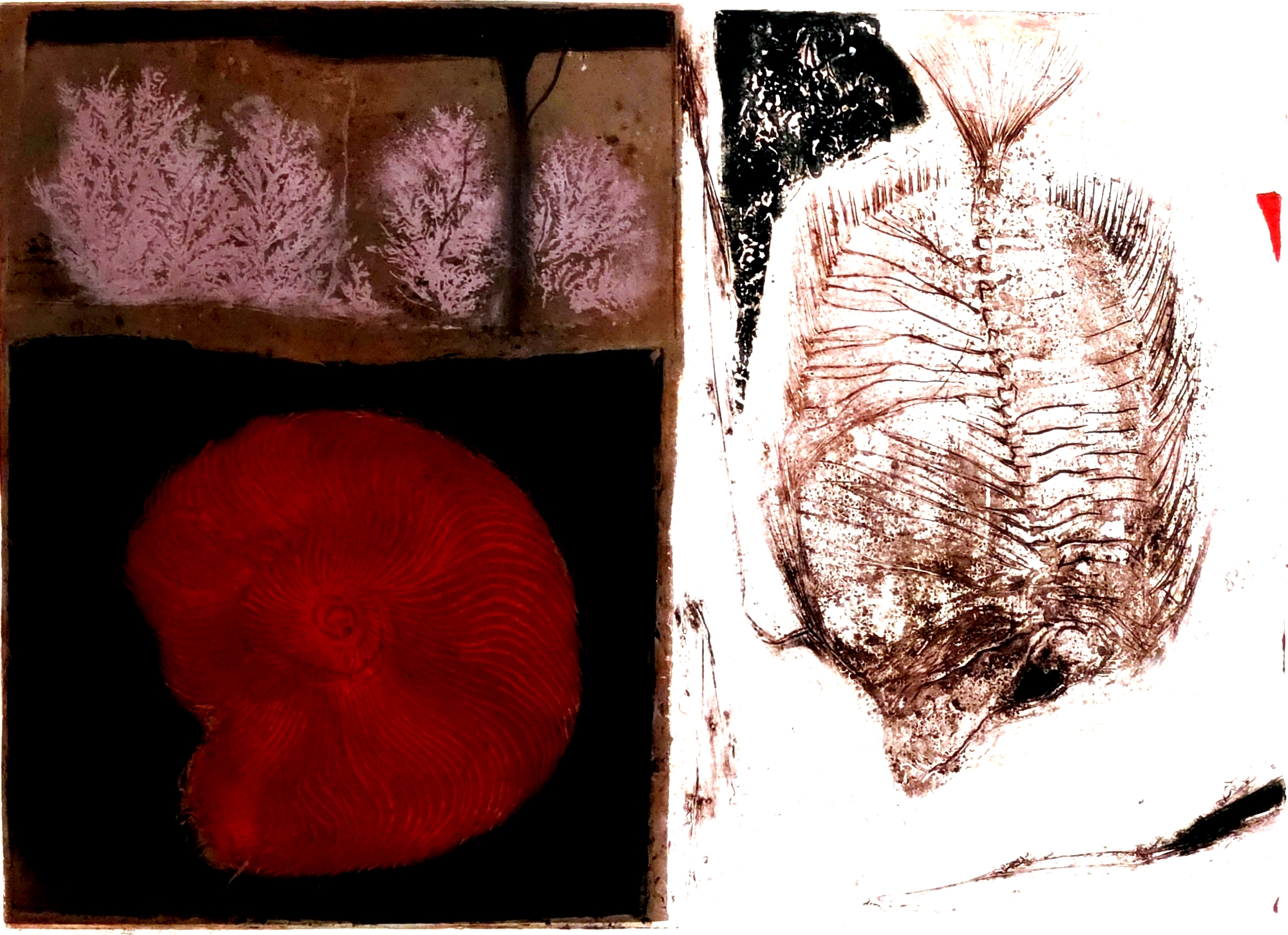 1702 Ru-van-Rossem b Rossem: Abstracte kunst met vis en patronen
